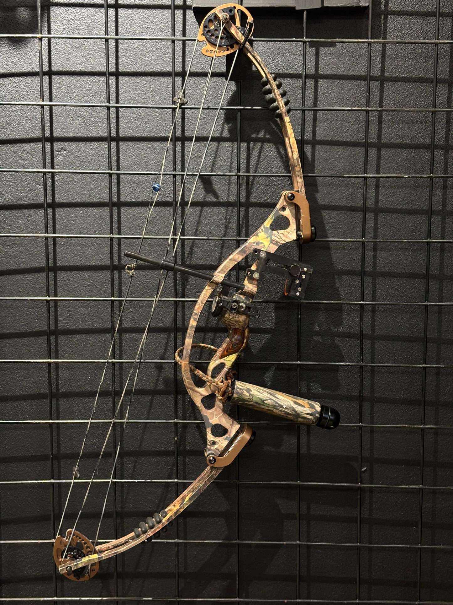 Hoyt RinTec