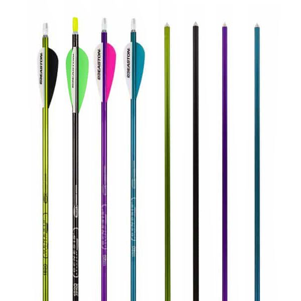 Easton Genesis Arrows