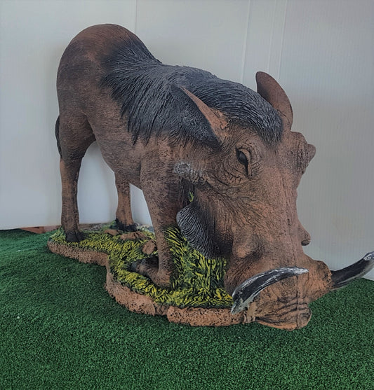 Wildcrete Warthog Eating
