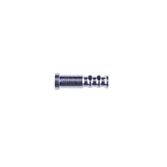 Gold Tip .246 Accu Lite Insert