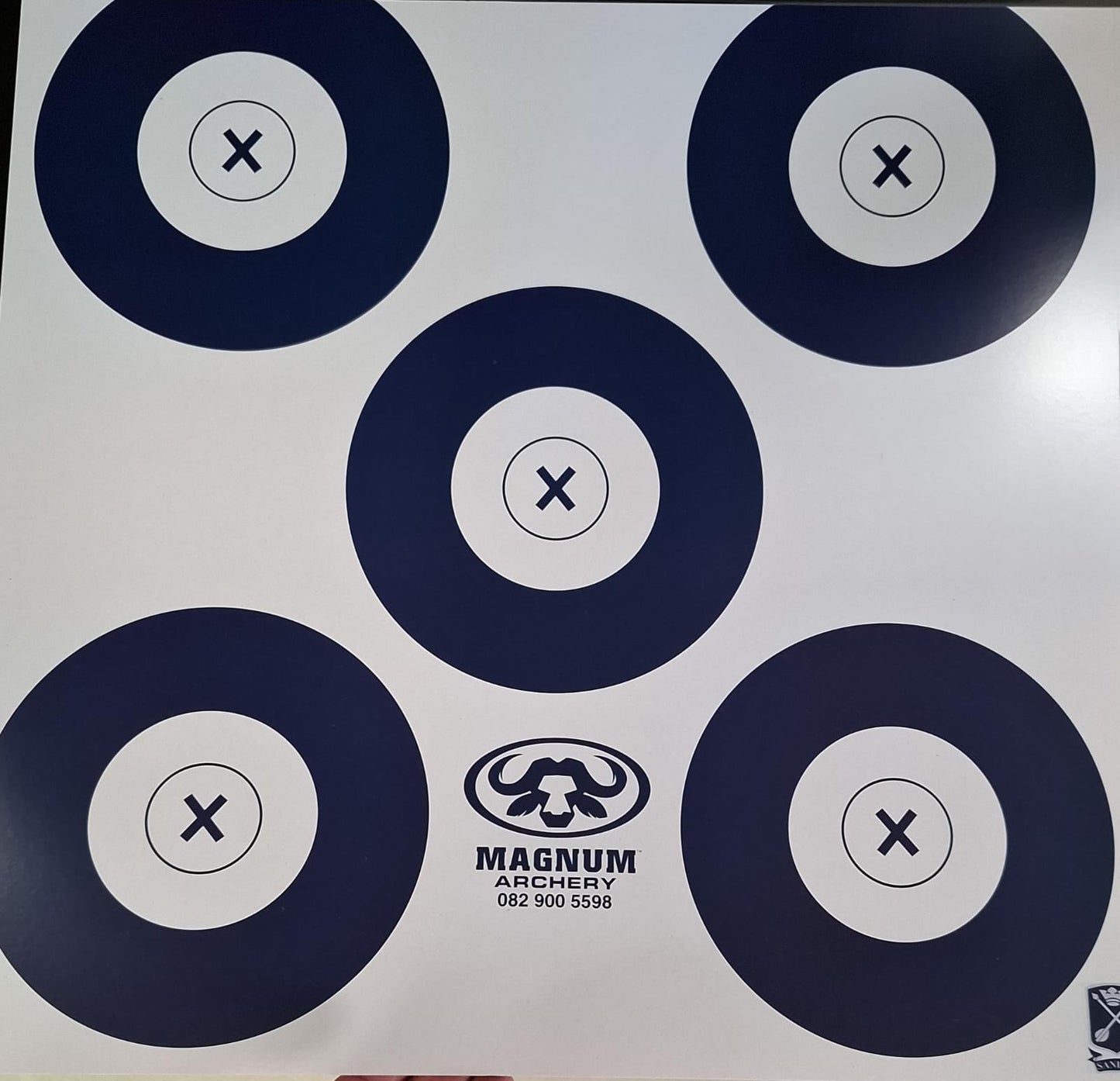 Sanifaa Indoor Target