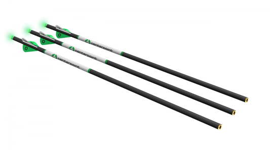 CenterPoint Bolt With Lighted Nock