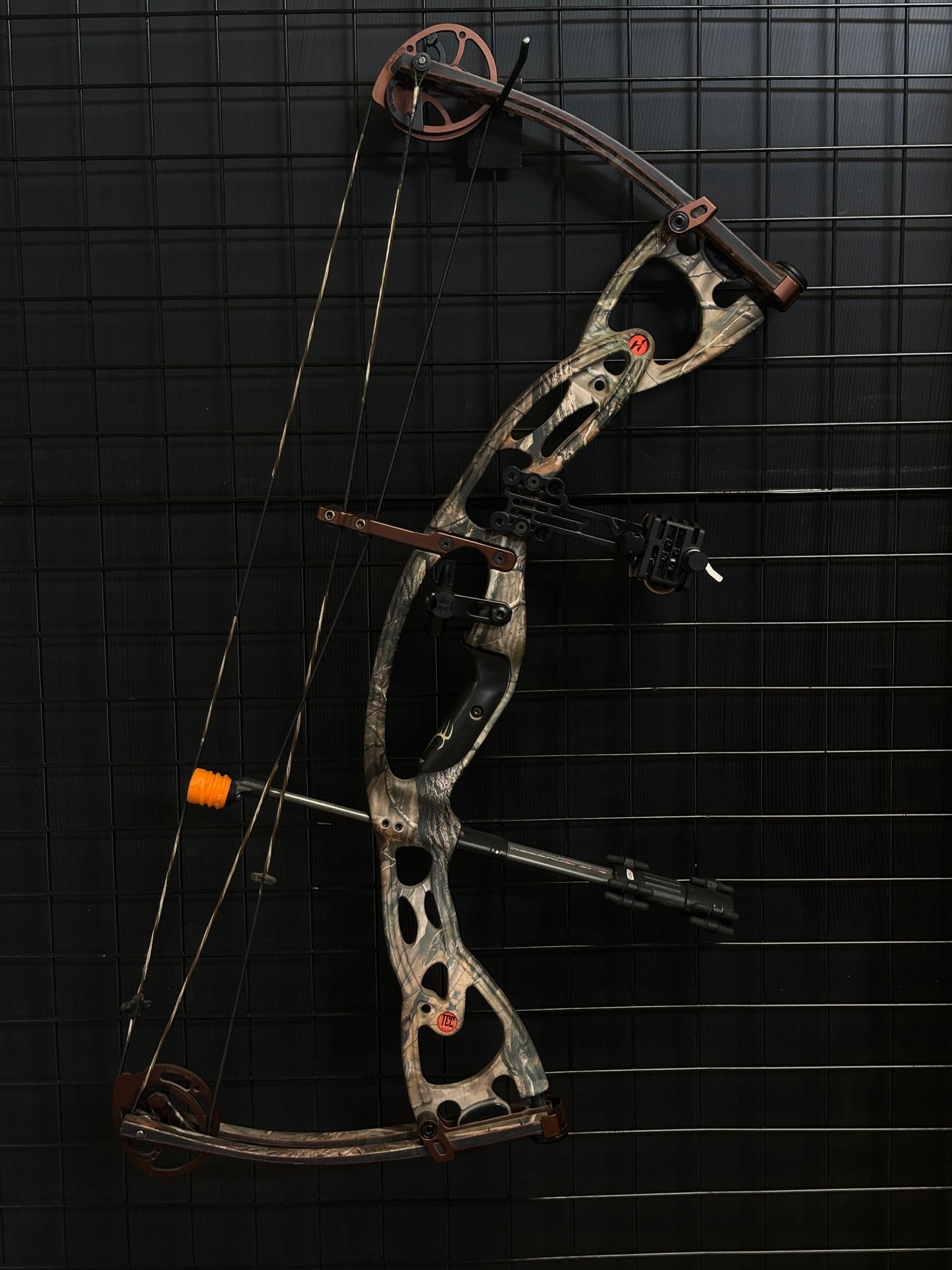 Hoyt Rampage XT