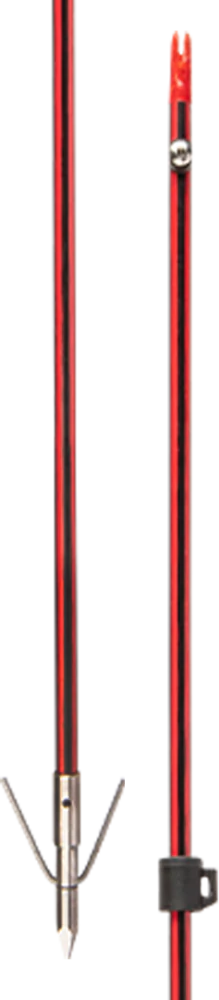 Cajun Wasp Arrow with Piranha XT Point